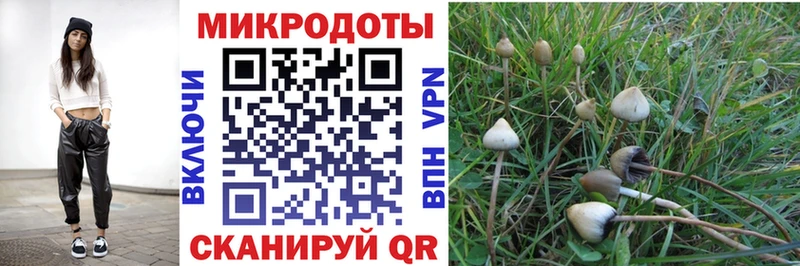цена наркотик  Туймазы  Галлюциногенные грибы Psilocybe 