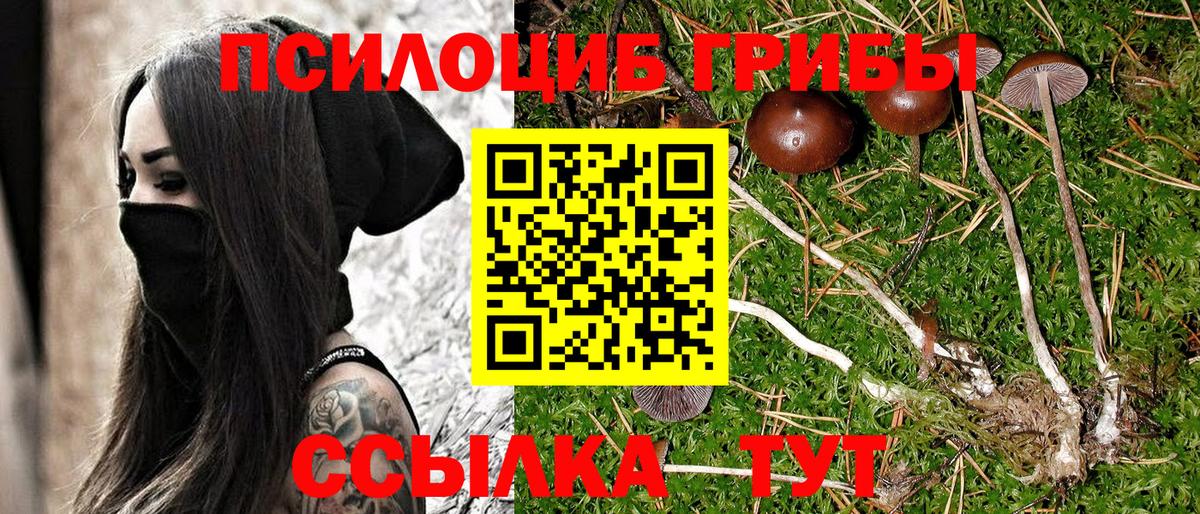 Туймазы  цена   Вход с VPN  Галлюциногенные грибы GOLDEN TEACHER 
