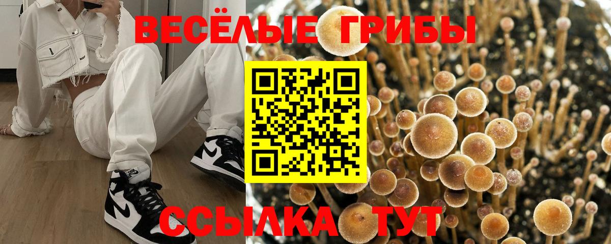Галлюциногенные грибы Cubensis Туймазы